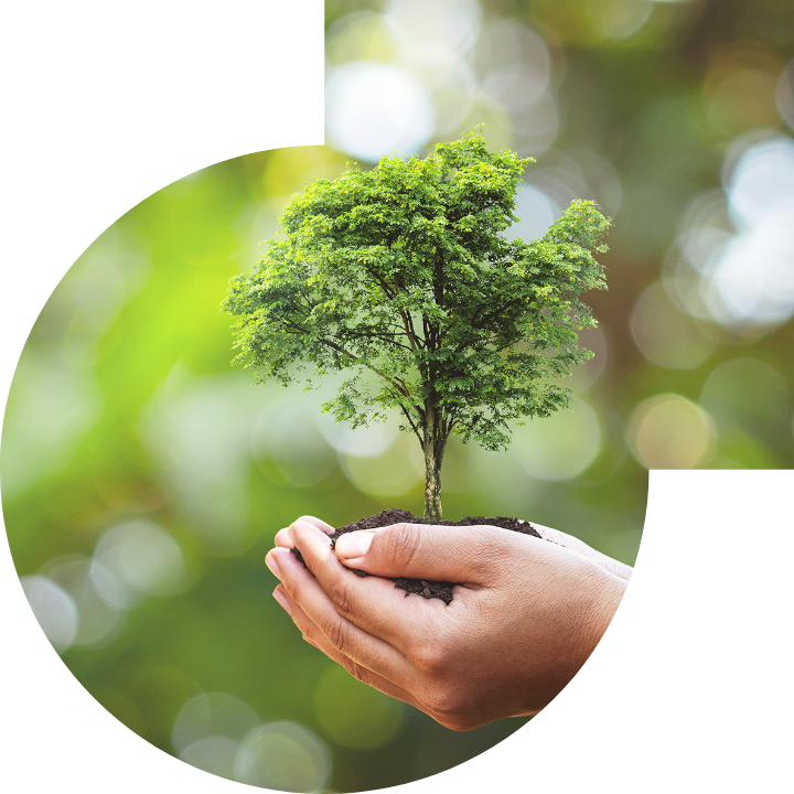 關懷人類、文化、環境與社會